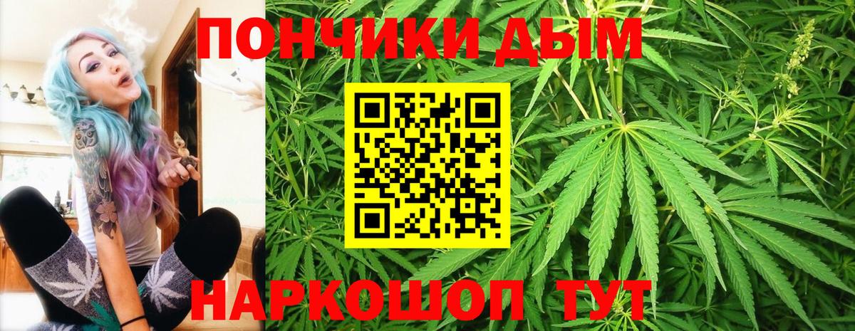 Канабис семена Кудрово