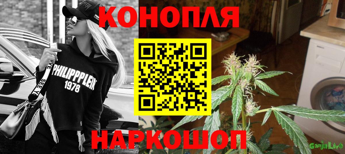 Шишки марихуана OG Kush  Вход с VPN  Каннабис ГИДРОПОН  Каннабис сатива  Канабис марихуана  Кудрово 